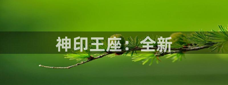 拷贝漫画入口在哪：神印王座：全新