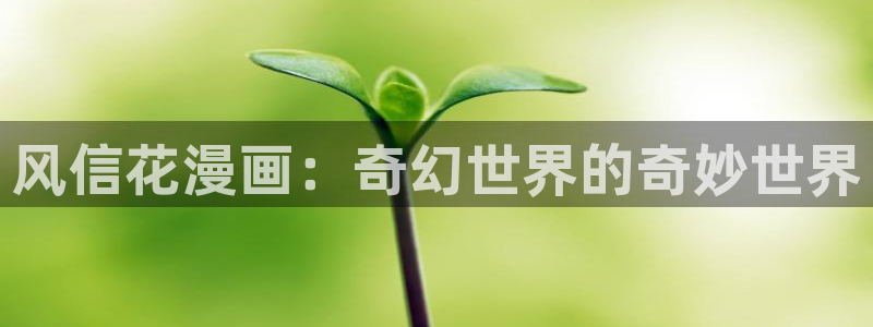 拷贝漫画官网地址：风信花漫画：奇幻世界的奇妙世界