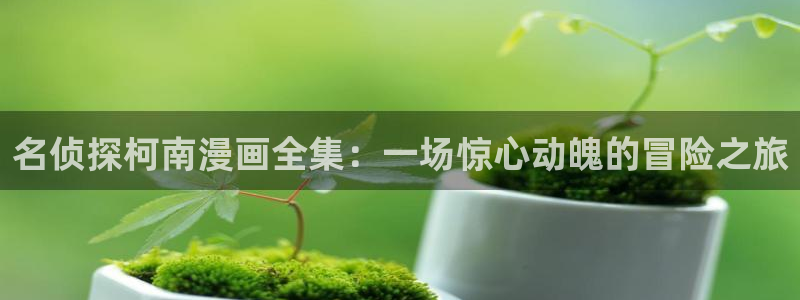 拷贝漫画怎么登陆：名侦探柯南漫画全集：一场惊心动魄的冒险之旅
